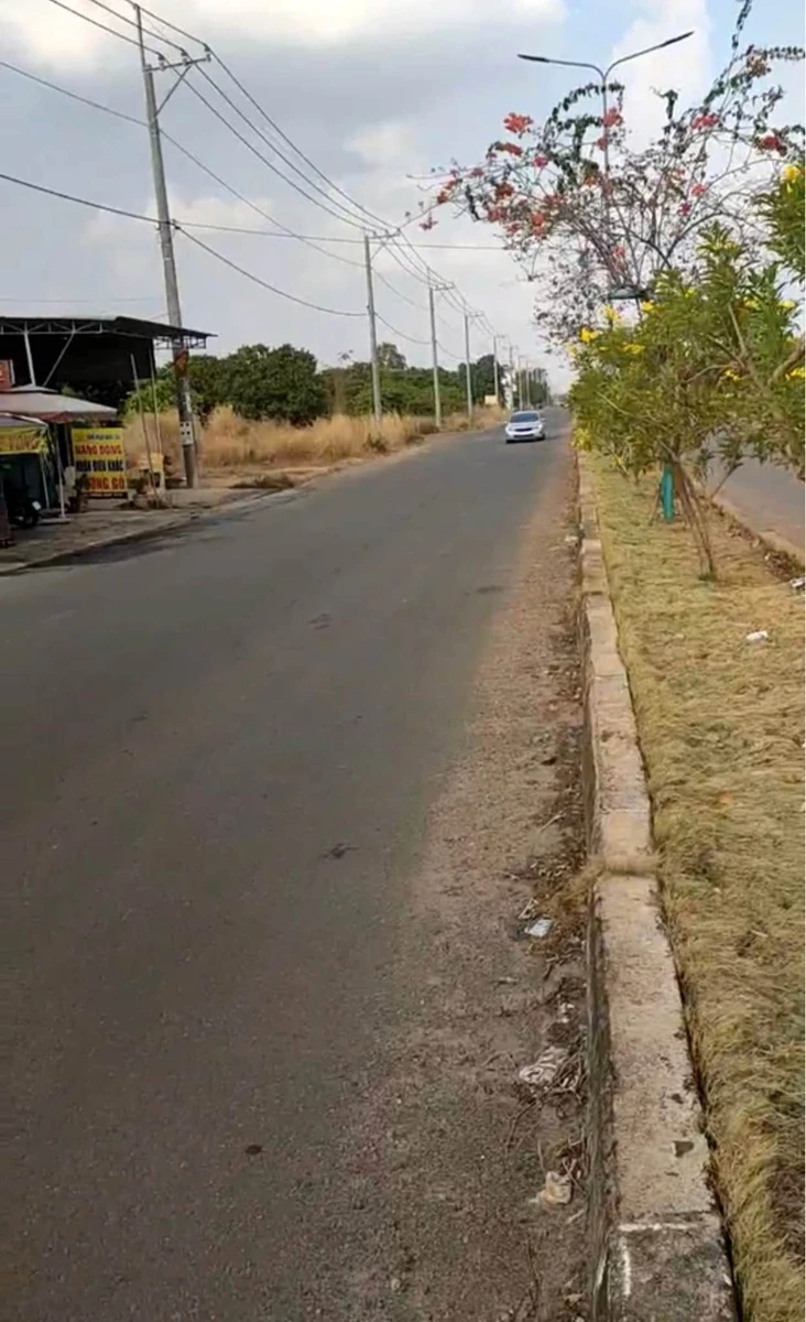 Bán đất mặt tiền Tân Bình 7x48m, 336m², 2 tỷ 3 - Ảnh thu nhỏ 3