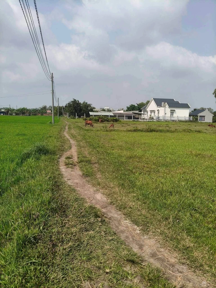 Bán lô đất 42x45 đối diện công viên 7 kỳ quan Phú Sinh, giá 2 tỷ 500 triệu - Ảnh thu nhỏ 3
