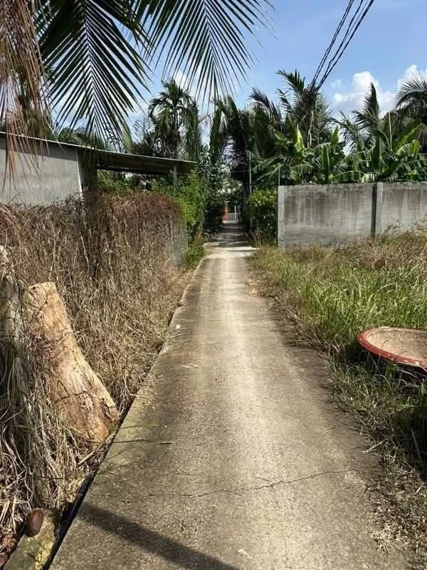 Bán đất công Mỹ Thạnh An, Bến Tre, 1.226m², 1 tỷ 3 - Ảnh thu nhỏ 2