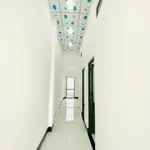 Nhà mới 2PN 84m² 780 triệu tại Tây Ninh - Ảnh thu nhỏ 4