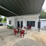 Bán nhà vườn 414m2 full thổ cư hẻm Đặng Văn Lãnh, Phong Nẫm, Phan Thiết - Ảnh thu nhỏ 5