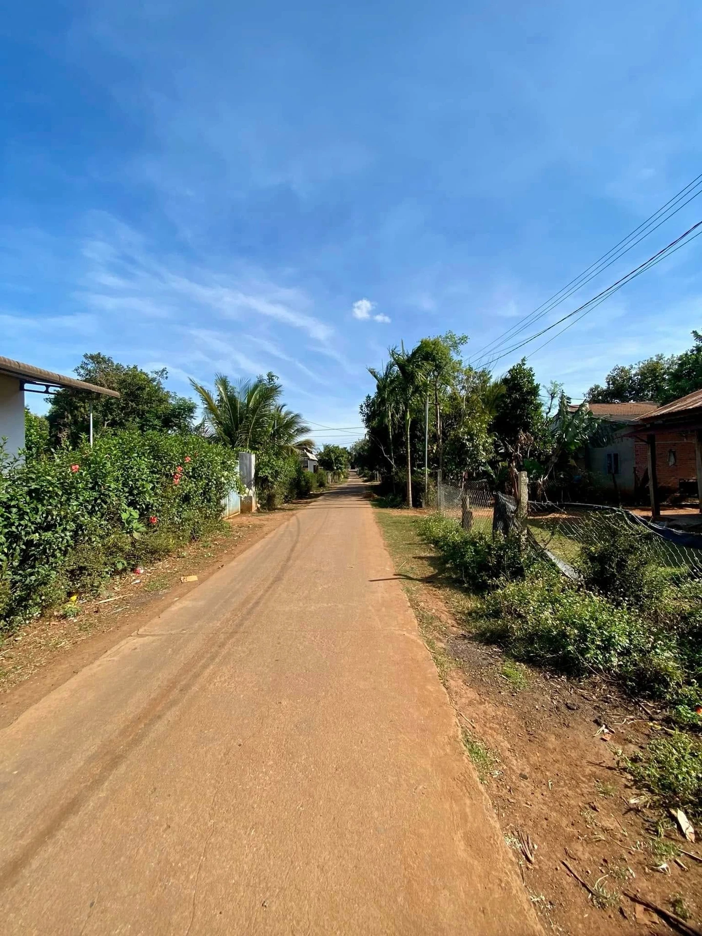 Bán lô đất 280m² góc 2 mặt tiền Đạt Lý, Hóc Môn 1 tỷ 260 - Ảnh 1