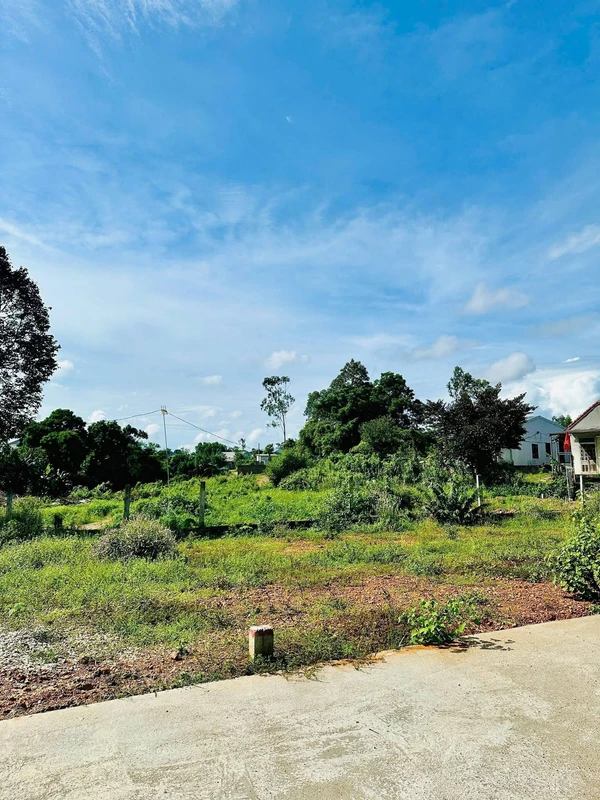Bán đất nền 88,5m² Thanh Thuỷ Huế 1,68 tỷ
