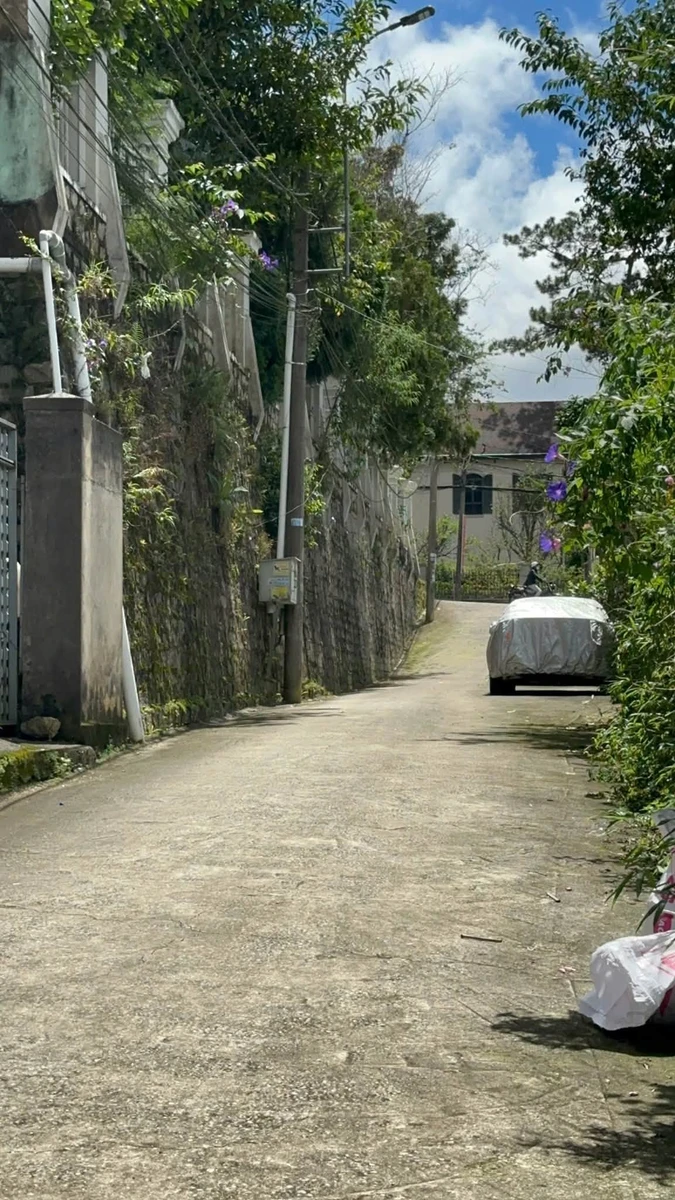 Bán đất đường Quang Trung Đà Lạt 278m2, 15.5 tỷ - Ảnh thu nhỏ 3