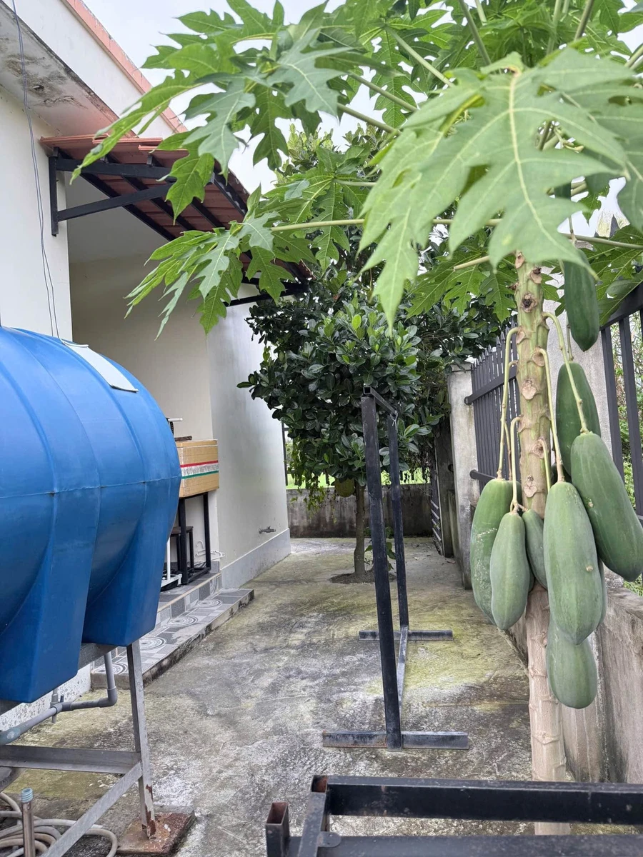 Bán nhà vườn hiện đại 283,6m2 full thổ cư tại Bình Lãng, Tân Trụ, Long An - Ảnh thu nhỏ 5