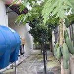 Bán nhà vườn hiện đại 283,6m2 full thổ cư tại Bình Lãng, Tân Trụ, Long An - Ảnh thu nhỏ 5