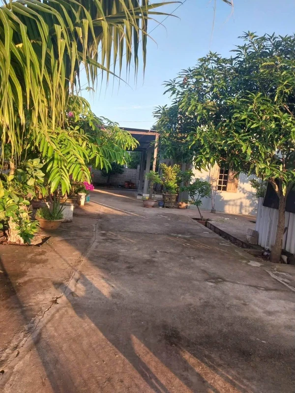 Bán nhà vườn 320m² Phú Mỹ Phan Thiết 950 triệu