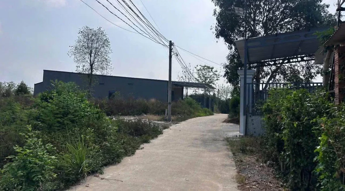 Bán đất nền 156m² Phú Thanh Tân Phú Đồng Nai 490 triệu - Ảnh thu nhỏ 4