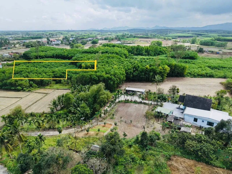Bán 660m² đất CLN quy hoạch đất ở tại Phong Điền, TP Huế giá 99 triệu