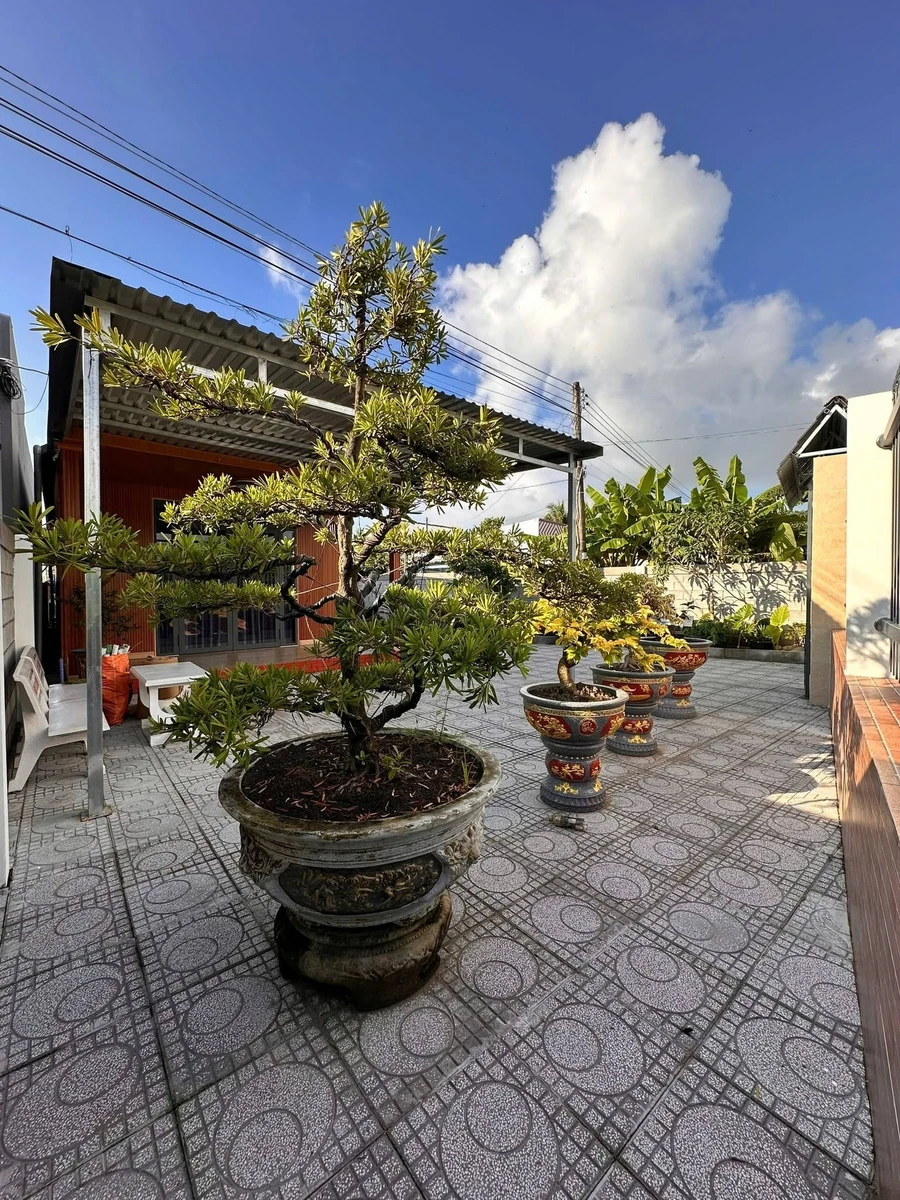Bán nhà sân vườn mặt tiền đường Tà Ben, xã Thạnh Lộc, Kiên Giang, giá 2,53 tỷ - Ảnh thu nhỏ 5