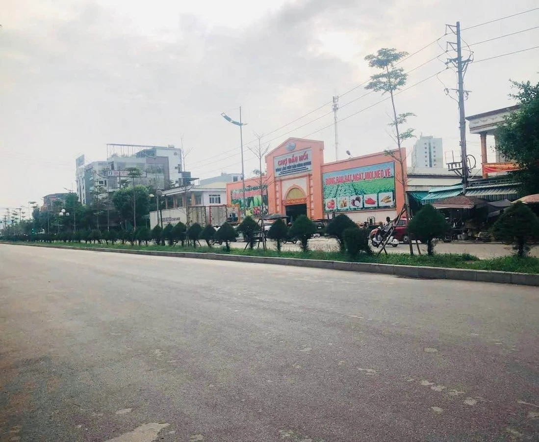 Bán đất mặt tiền 102m² Nguyễn Duy Hiệu, Đông Hương - Ảnh thu nhỏ 2