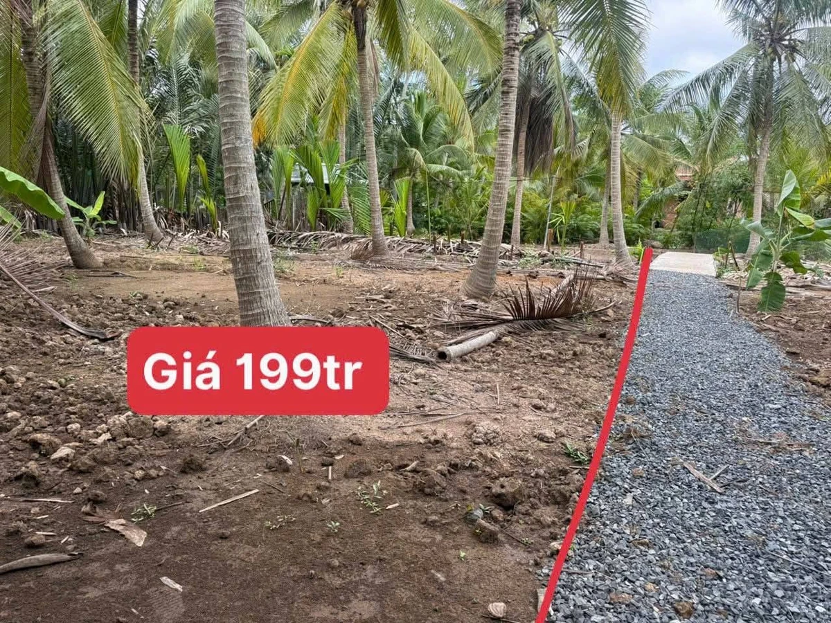 Bán đất 500m² tại Thành An-MCB, Bình Chánh 199 triệu - Ảnh 1