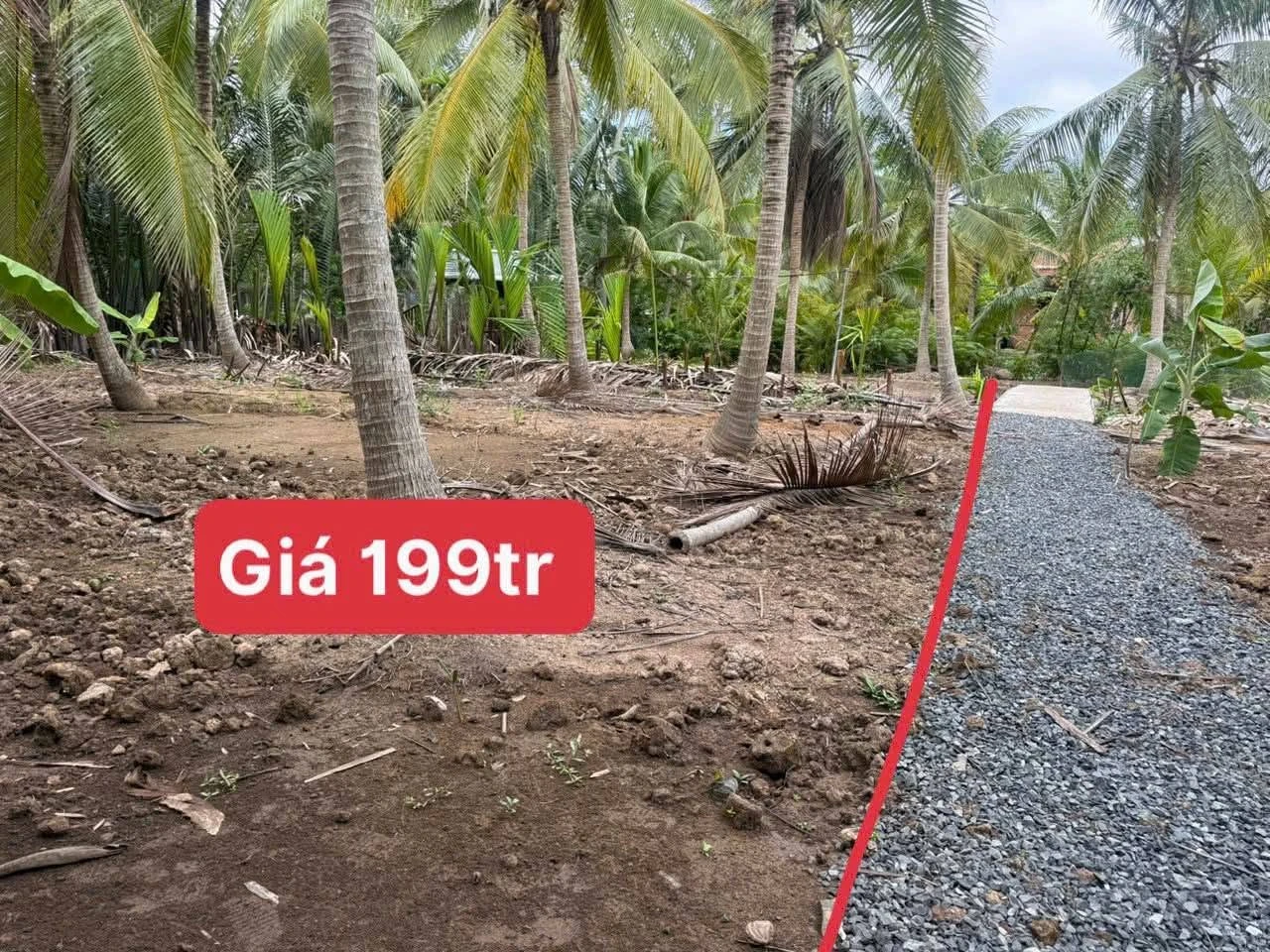 Bán đất 500m² tại Thành An-MCB, Bình Chánh 199 triệu - Ảnh 1