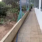 Bán nhà 2 phòng ngủ 1000m² Phường Đồng Xoài, 2 tỷ - Ảnh thu nhỏ 1