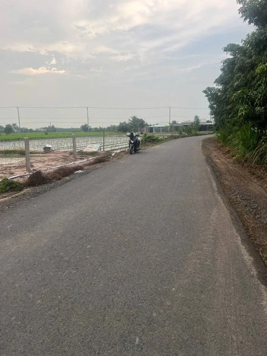 Bán đất 1169m² mặt tiền nhựa Long Thuận, Tây Ninh, 295 triệu - Ảnh thu nhỏ 3