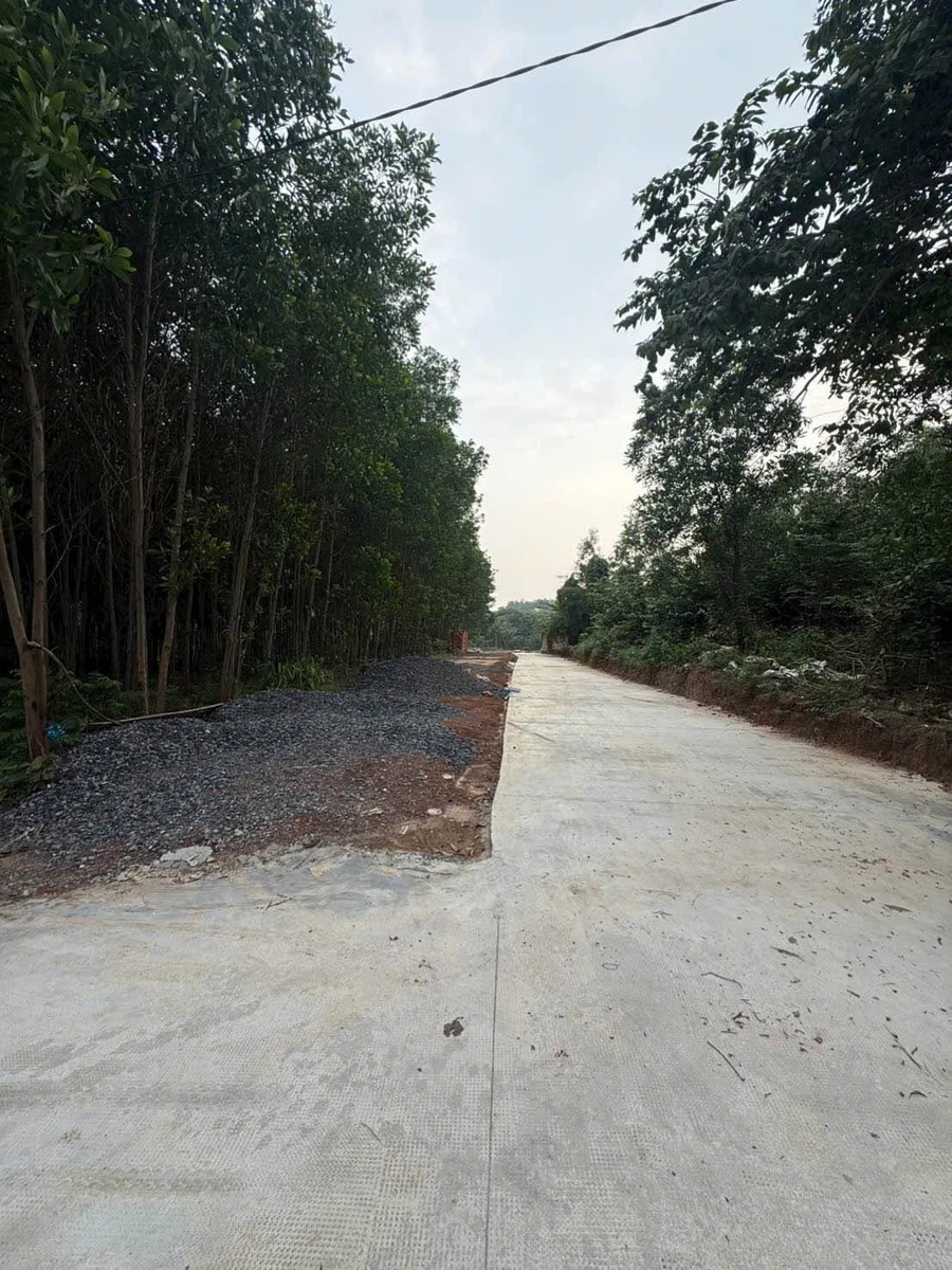 Bán đất Tân Triều 90m², 850 triệu - Ảnh thu nhỏ 3