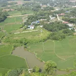 Bán đất 2500m2 có 1300m2 đất ở tại Mỵ Hòa, Kim Bôi, Hòa Bình - Ảnh thu nhỏ 2