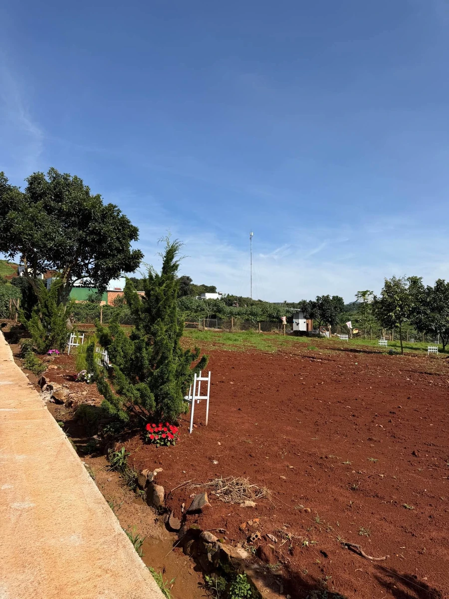 Bán lô đất 200m² Nam Ban Lâm Hà 3.3tr/m² - Ảnh thu nhỏ 4