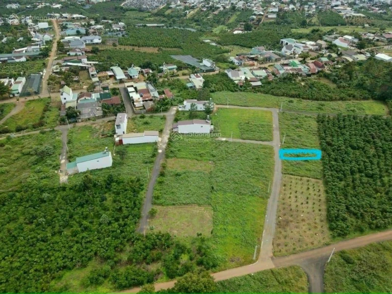 Bán đất giá rẻ - hẻm ô tô 169 Nguyễn Đình Chiểu - Phường 1 Bảo Lộc