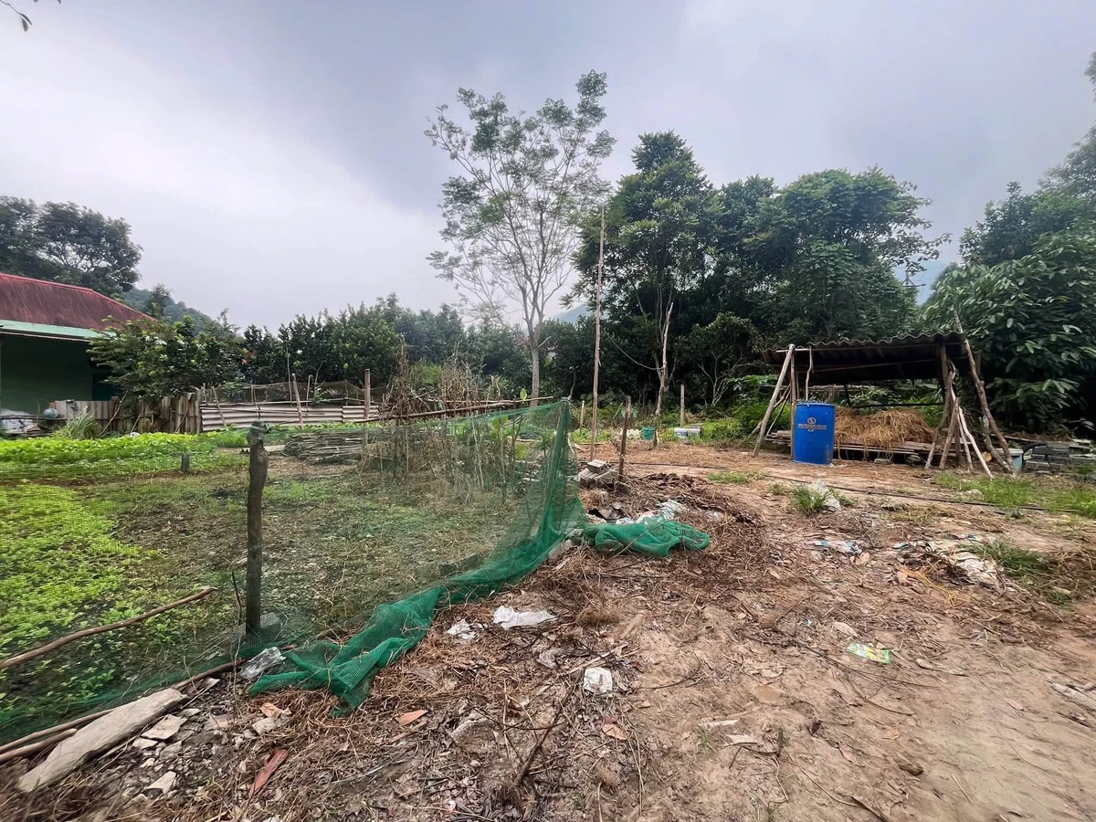 Bán lô đất 800m² gần QL 37 Lương Thịnh, Lào Cai - Ảnh thu nhỏ 4