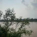 Bán đất Ngã Bảy Hậu Giang giá tốt - Ảnh thu nhỏ 6