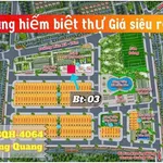 Bán biệt thự 240m2 mặt tiền 15m Đông Quang, Bình Dương - Ảnh thu nhỏ 1