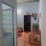 Bán nhà cấp 4 100m² Thành Nhất Thủ Đức 1.29 tỷ - Ảnh thu nhỏ 2