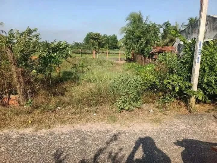 Bán đất Trà Vong mặt tiền 630m² giá 819 triệu Hóc Môn - Ảnh thu nhỏ 2