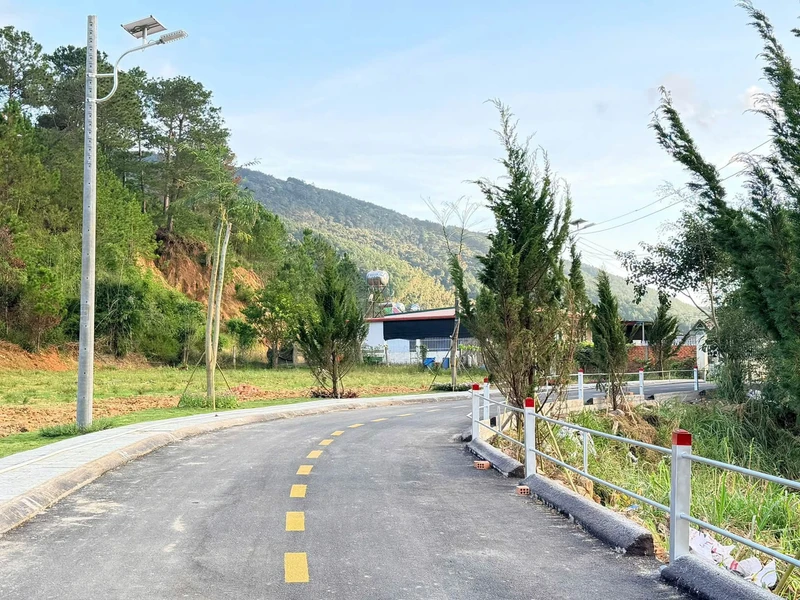Bán đất thổ cư 100m² Đèo Prenn Đà Lạt 1 tỷ 230 triệu