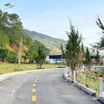 Bán đất thổ cư 100m² Đèo Prenn Đà Lạt 1 tỷ 230 triệu - Ảnh thu nhỏ 1