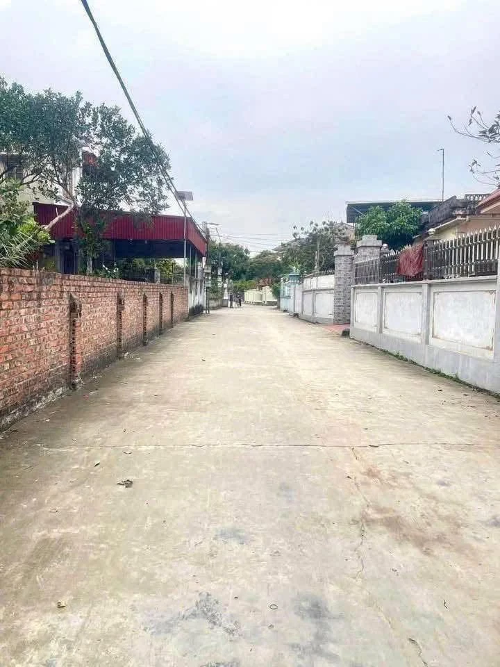 Bán đất 86,2m2 trục chính thôn Đông Duệ, Đồng Lạc, Nam Sách, Hải Dương - Ảnh thu nhỏ 2