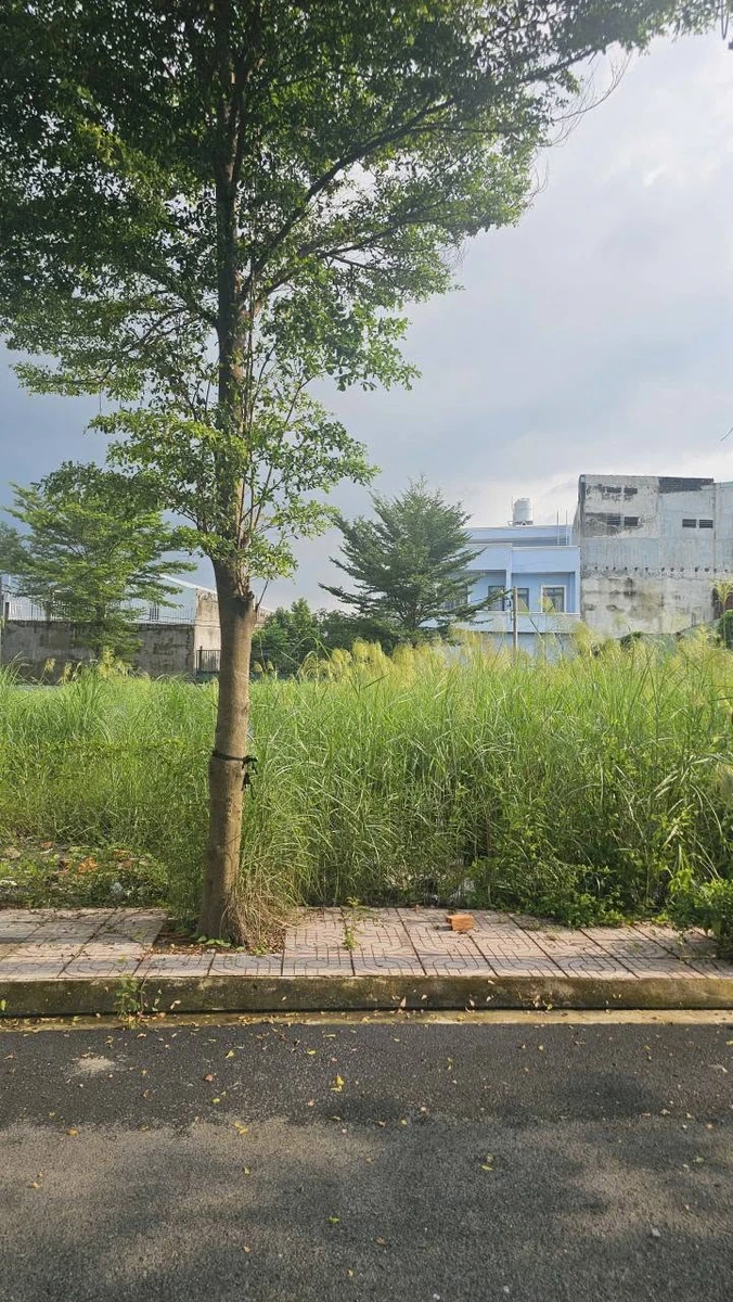 Bán nền đất 66m2 tại khu dân cư An Nông 2, Tây Ninh - Ảnh thu nhỏ 5