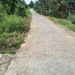 Bán đất nền 1000m² Long An 1 tỷ 100 triệu - Ảnh thu nhỏ 1