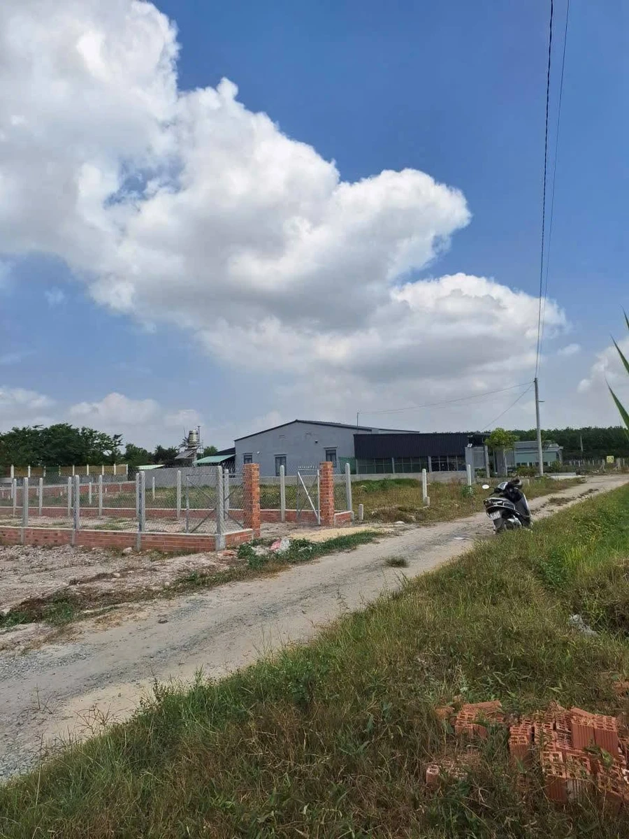 Bán đất nền 247,5m² Long Chữ, Tây Ninh 340 triệu - Ảnh thu nhỏ 5