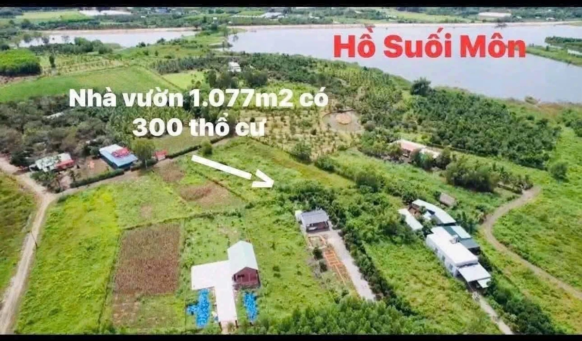 Bán đất vườn Long Tân Đất Đỏ Bà Rịa 1.077m² 2 tỷ 790 - Ảnh thu nhỏ 4