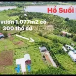 Bán đất vườn Long Tân Đất Đỏ Bà Rịa 1.077m² 2 tỷ 790 - Ảnh thu nhỏ 4