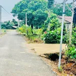 Bán lô đất 959m² mặt tiền đường nhựa Xuyên Mộc, giá 1 tỷ 250 triệu - Ảnh thu nhỏ 2