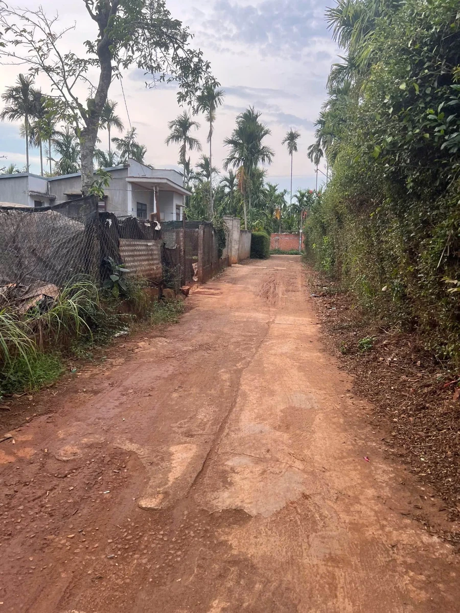 Bán đất hẻm Đại Lộ Đông Tây 230m² Bình Chánh - Ảnh thu nhỏ 4