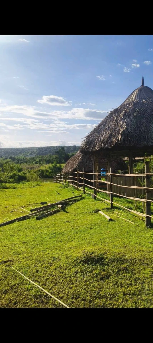 Bán đất nền 25000m² mặt tiền Lộc Hưng, Đồng Nai, giá rẻ - Ảnh thu nhỏ 2