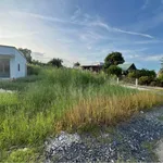 Bán lô đất thổ cư 134m2 giá 710 triệu tại Tân Lân, Cần Đước - Ảnh thu nhỏ 2