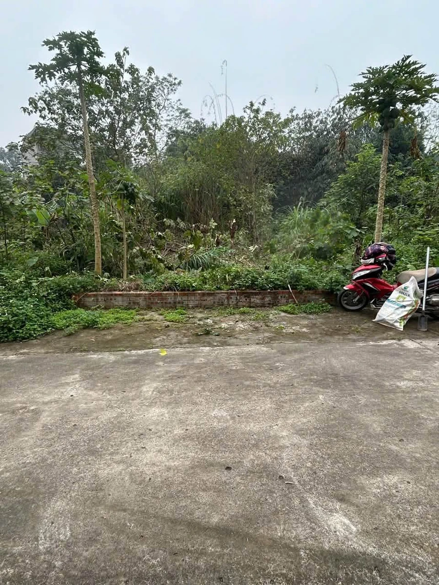 Bán đất khu 3 Vân Phú, Việt Trì, 140m² mặt tiền - Ảnh thu nhỏ 2