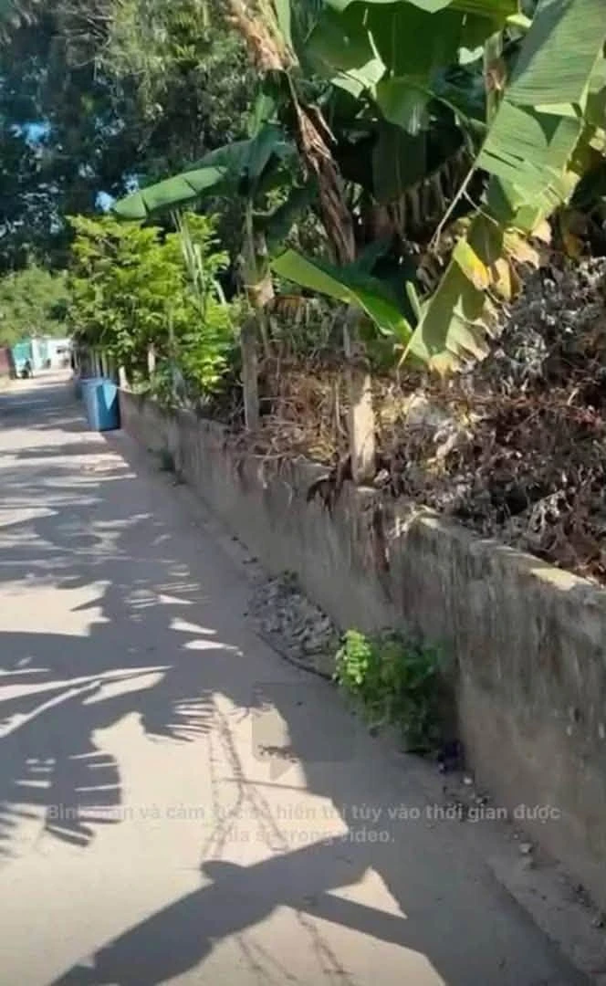 Bán đất thổ cư 10x29 hẻm Thanh Bình, Phú An giá 2,79 tỷ - Ảnh thu nhỏ 4
