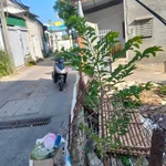 Cho thuê đất 140m² Nguyễn Chích, Nha Trang 12 triệu/tháng - Ảnh thu nhỏ 4