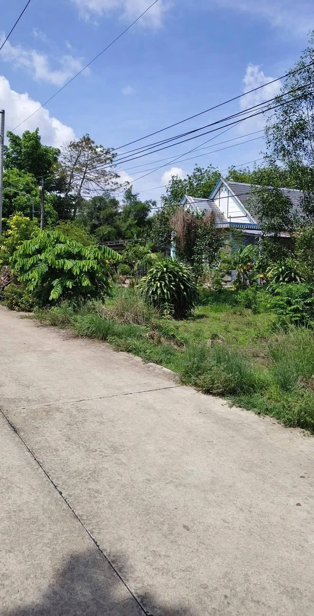 Đất bán 100m² Trừ Văn Thố, Bình Chánh 699 triệu - Ảnh thu nhỏ 3