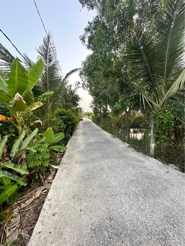 Bán đất 18 x 66.75m (1201.5m²) Phường Long An, Tân An, Long An
