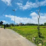 Bán đất 80m thổ cư nở hậu Đinh Văn Hóc Môn 399 triệu - Ảnh thu nhỏ 4