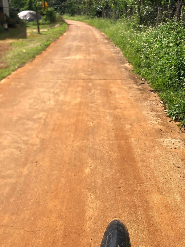Bán đất trồng cà phê 1,2ha tại Bình Dương, giá 2,6 tỷ/ha