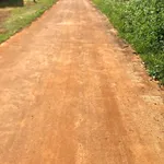 Bán đất trồng cà phê 1,2ha tại Bình Dương, giá 2,6 tỷ/ha - Ảnh thu nhỏ 1
