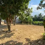 Bán đất làm nhà vườn 270,8m² ngang 9,47m giá 2,95 tỷ tại Diên Khánh, Khánh Hòa - Ảnh thu nhỏ 3