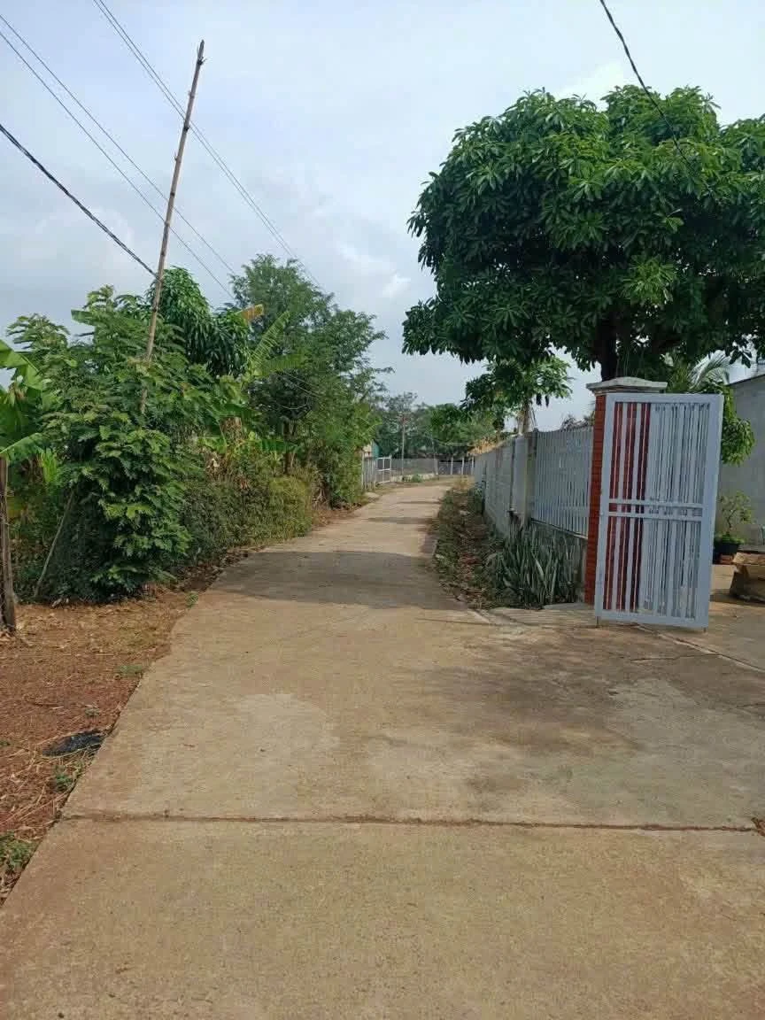 Bán đất mặt tiền hẻm cấp 1 đường liên thôn 8, Cuebur, Buôn Ma Thuột, giá 680 triệu - Ảnh 1